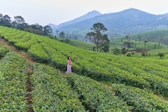 Sylora Meadows Pool Villa, Vagamon