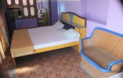 shree palace stay