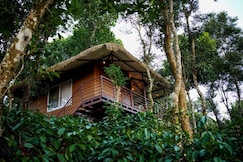 Coffee Cradle Wayanad Premium Tree House, Wayanad