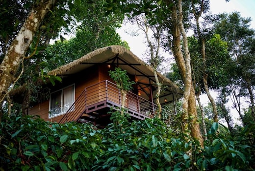 Coffee Cradle Wayanad Premium Tree House