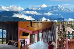 The Himalayan Oaks near Hanging rock road, Chaukori