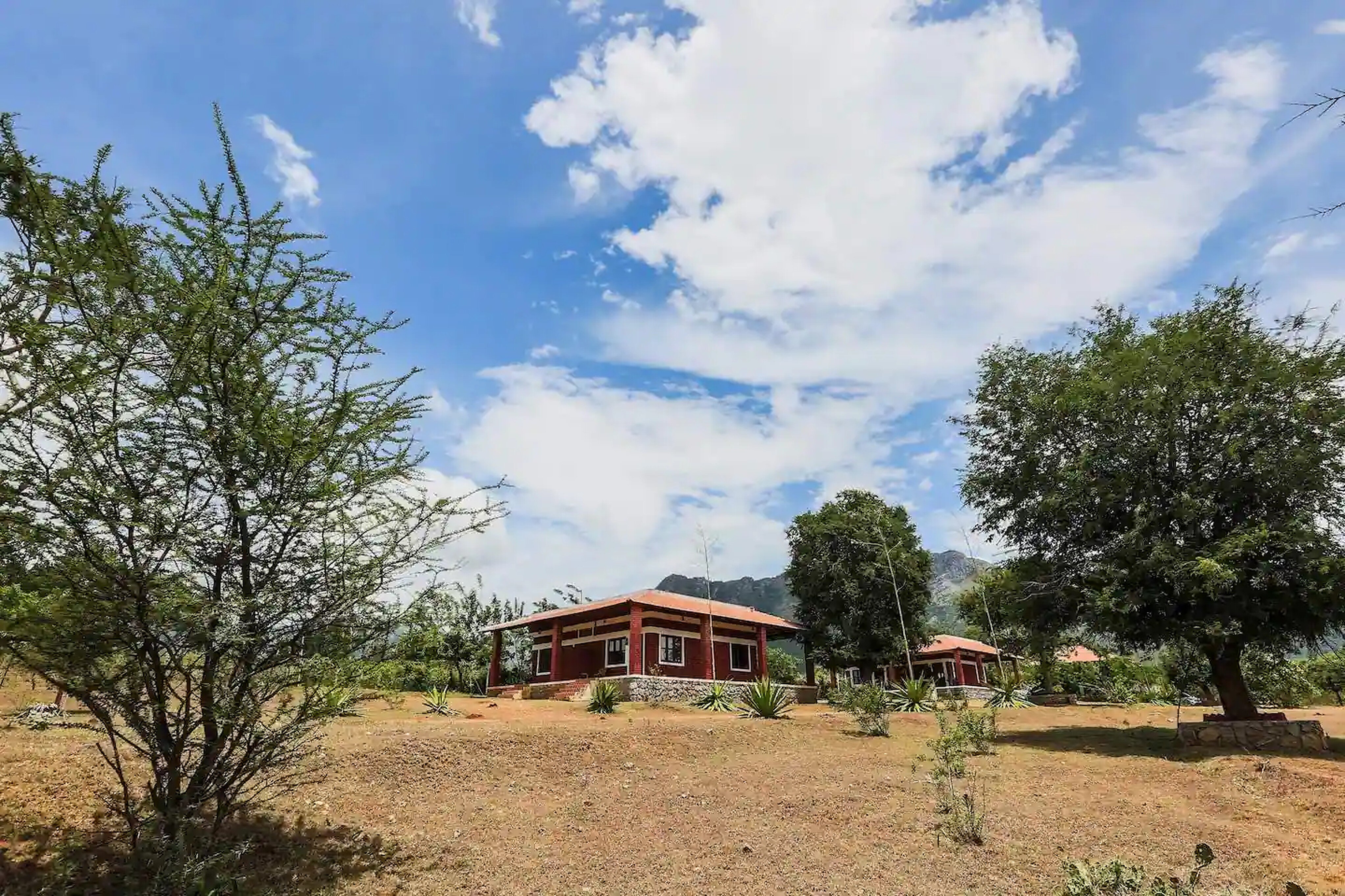 SafariLand Resort - Tap to explore photos