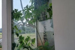 Glass house, Pollachi