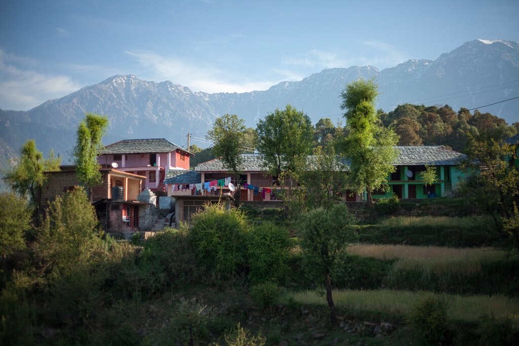 Sunny Homestay in Naddi - Tap to explore photos