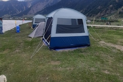 Brown Bear Camping Gurez, Sonmarg
