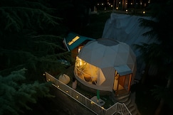 Hayden  Royal Swiss Cottage, Chail