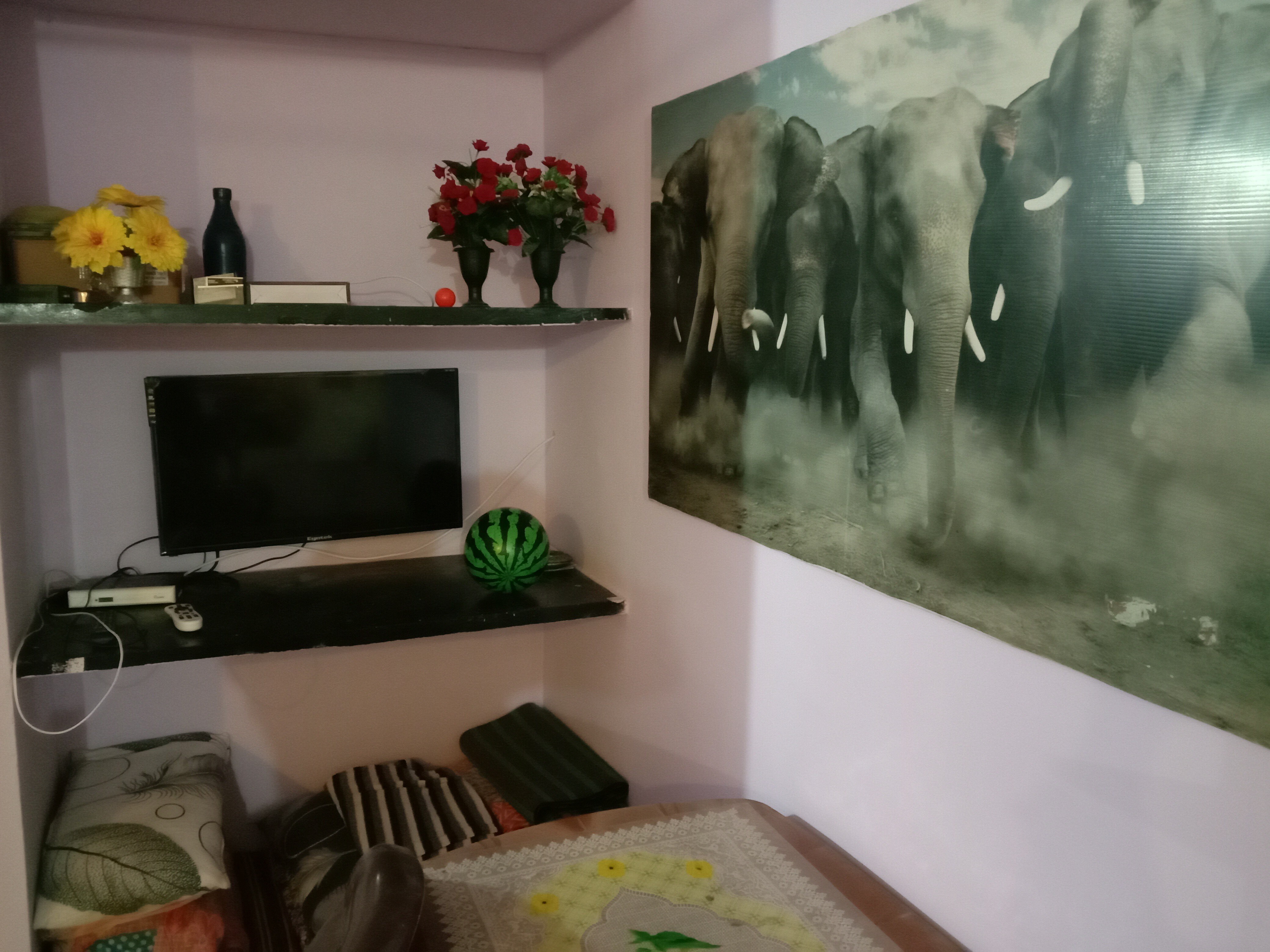 Prakash Home Stay Dandeli Price Address Reviews