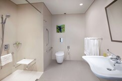 Hilton Garden Inn Tirana, Tirana