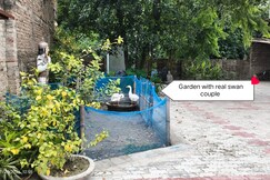 Nature Nest Homestay, Madhubani