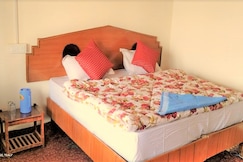 Eco Traveller Cottage Pangong, Pangong
