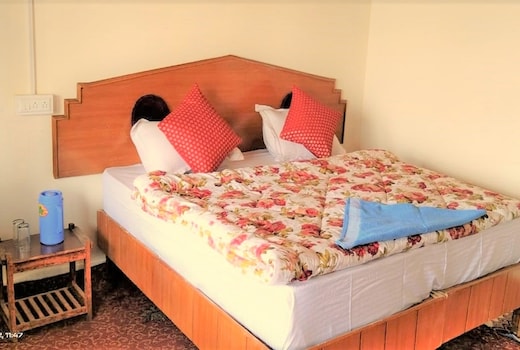 Eco Traveller Cottage Pangong