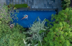 Swimming Pool 1
