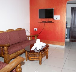 Living Room 1