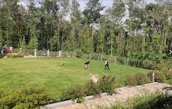 Outdoors