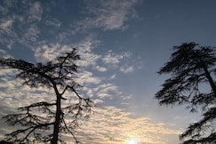 MnM Stays, Shimla, Shimla
