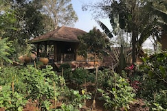 Vana at The Plenti House : Mindful Nilgiris, Gudalur