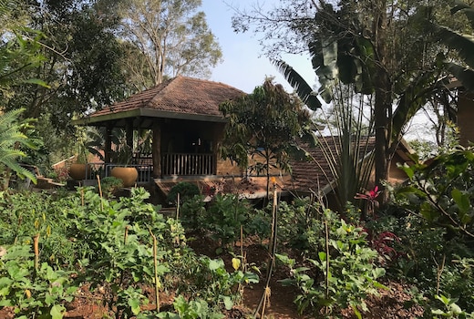 Vana at The Plenti House : Mindful Nilgiris