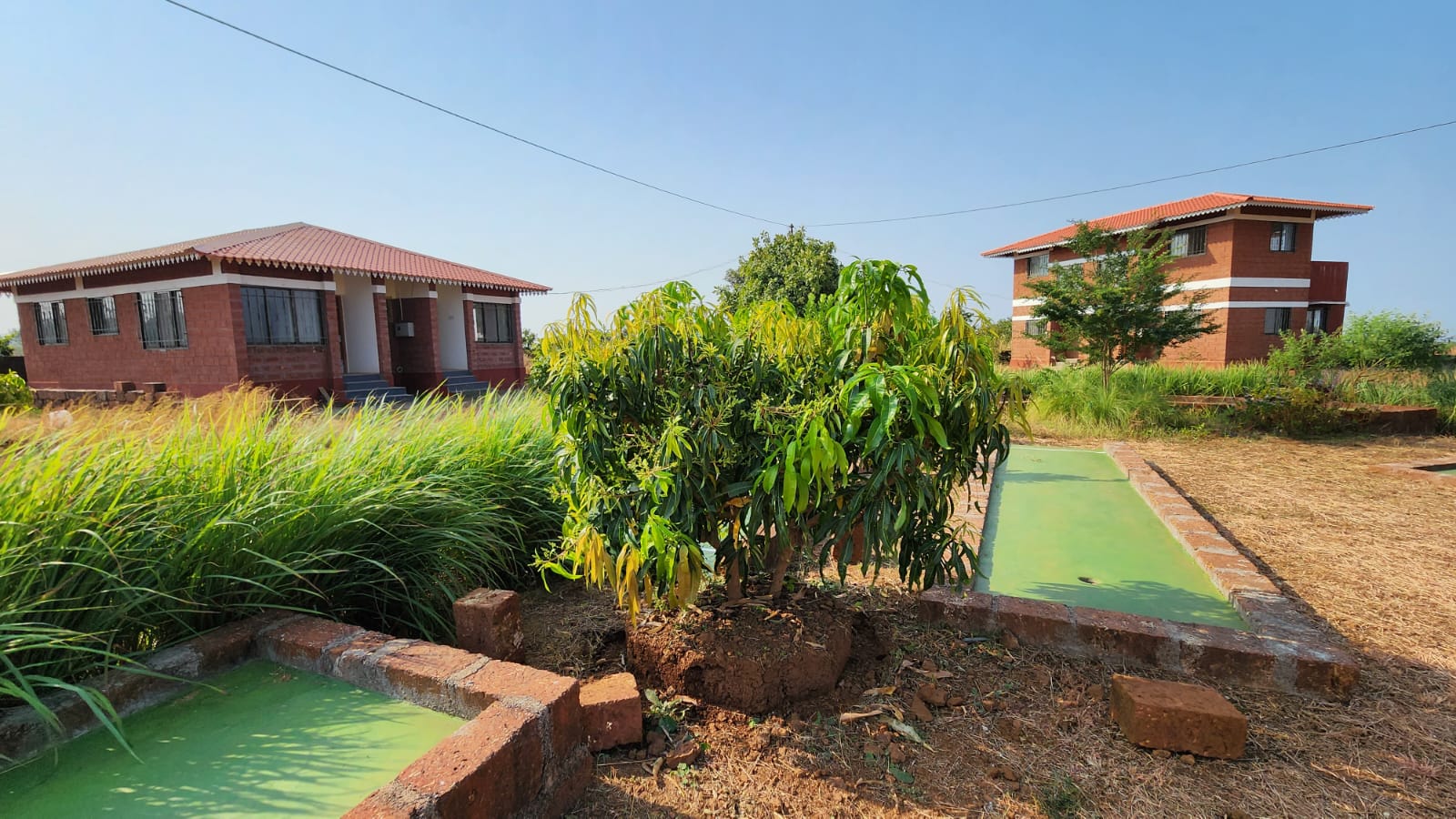 Peaceful Guesthouse, Aghari Village, Kolthare Dapoli 4