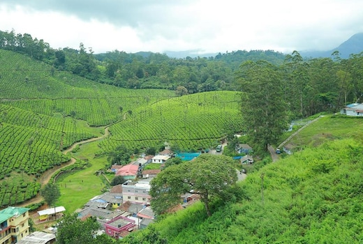 Nature Stay Kowsiga 3BHK Tea View Homestay