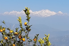 KULSANG FARM FARMSTAY, Darjeeling