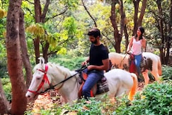 The Zen Forest Cottage, Murud Janjira