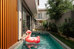 The Banyan Tree A4 by SOAL, Goa