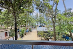 Nautical nest, Cochin