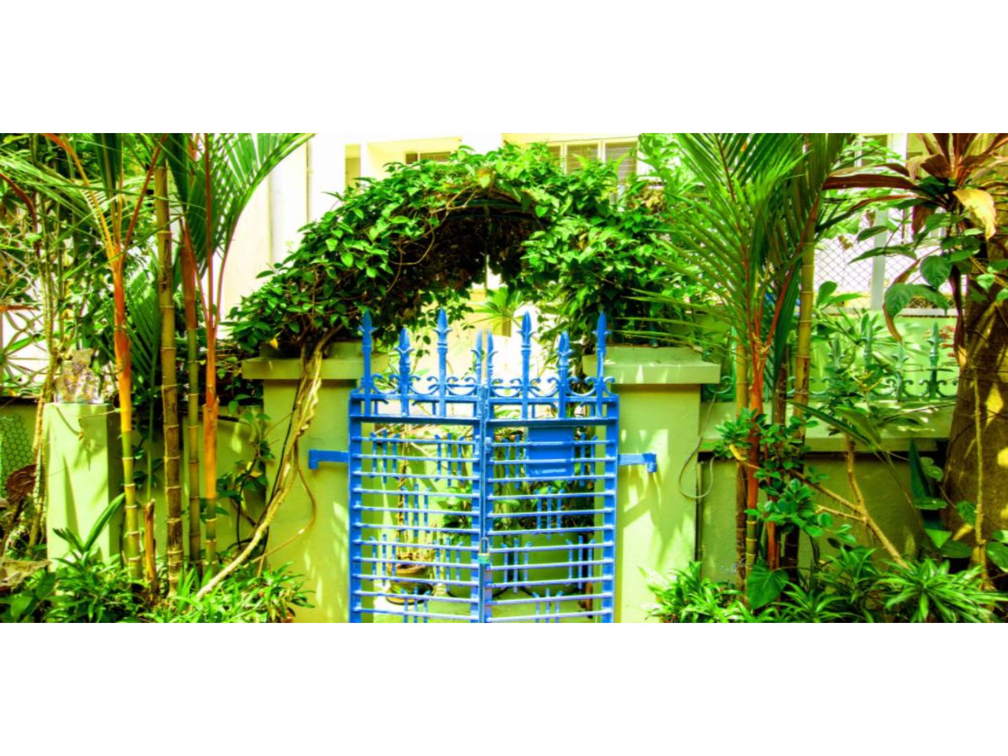 Homestay Gandhi Study Circle - Tap to explore photos