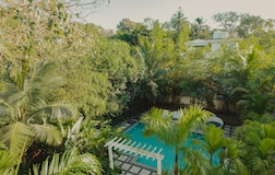 Swimming Pool 1