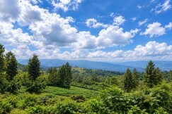 Mountain valley Kanthalloor, Marayoor