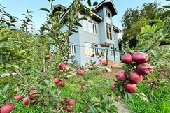 TAVISHA RIVER VIEW ORCHARD, Pahalgam