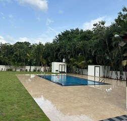 Swimming Pool 1