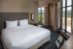 Hilton Asheville Biltmore Park, Buncombe