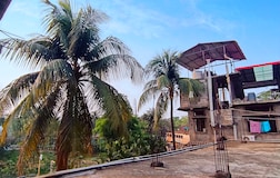 Terrace 1