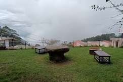 Pine tree, Kodaikanal