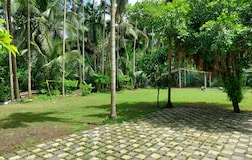 Outdoors