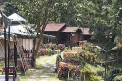 Three Hills Resort & SPA Coorg, Coorg