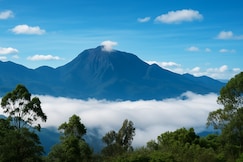 Mythree Mist - A Hill Station Boutique Hotel, Marayoor