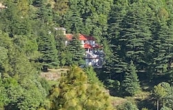 Atal