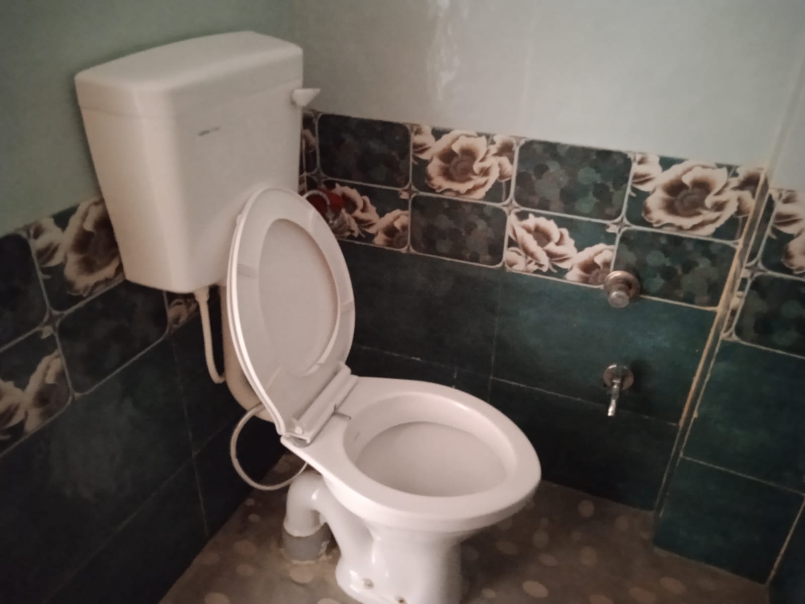 Abhi Home Stay Mailani Dudhwa - Tap to explore photos