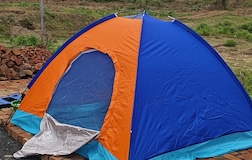 Classic veg camps