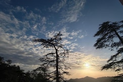 MnM Stays, Shimla, Shimla