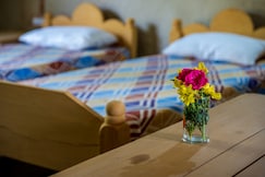 Mahua Homestay, Sidhi