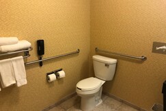 Holiday Inn Express & Suites LANSING-DIMONDALE, Eaton
