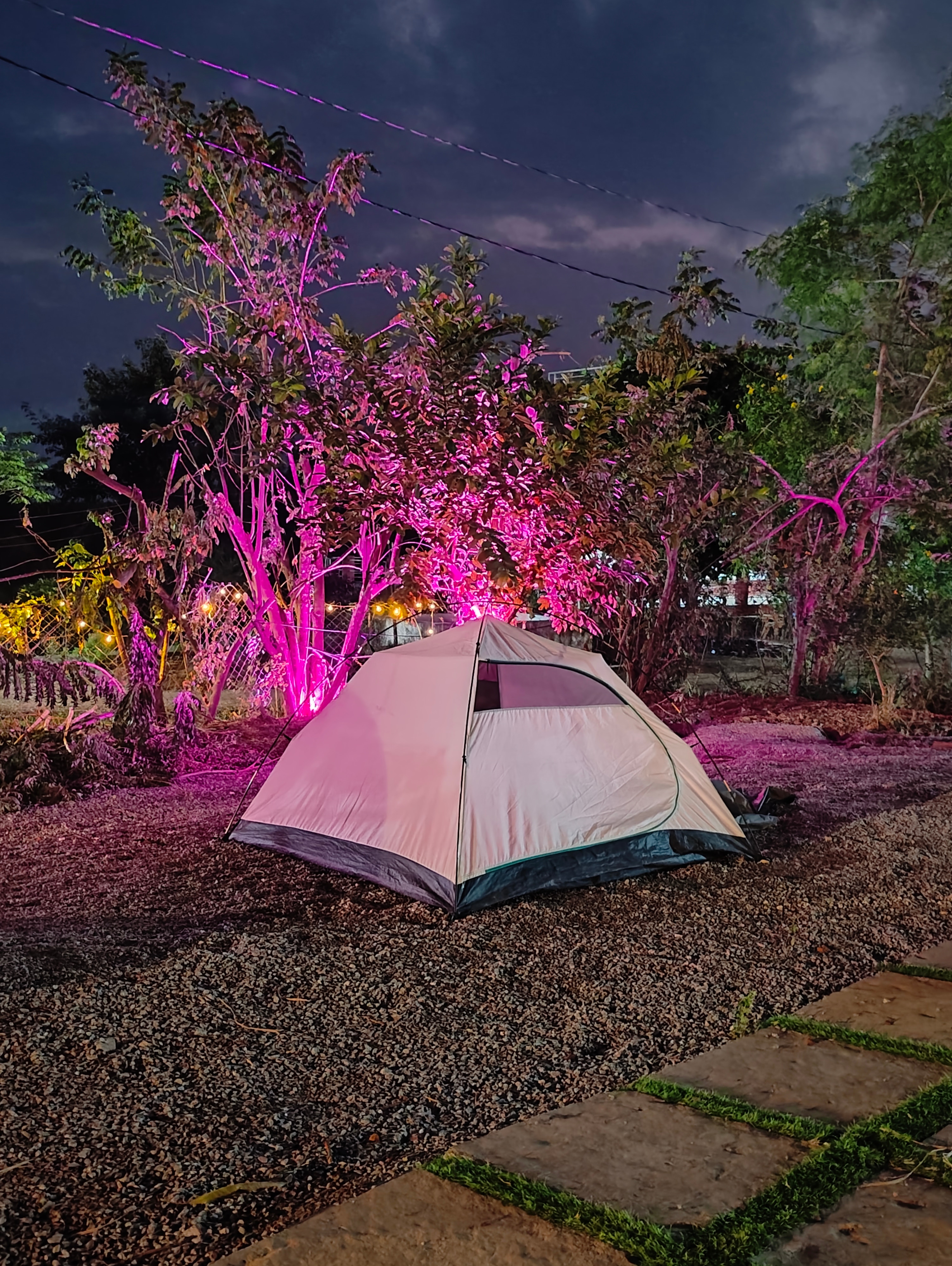Ananthagiri hills camping - Tap to explore photos