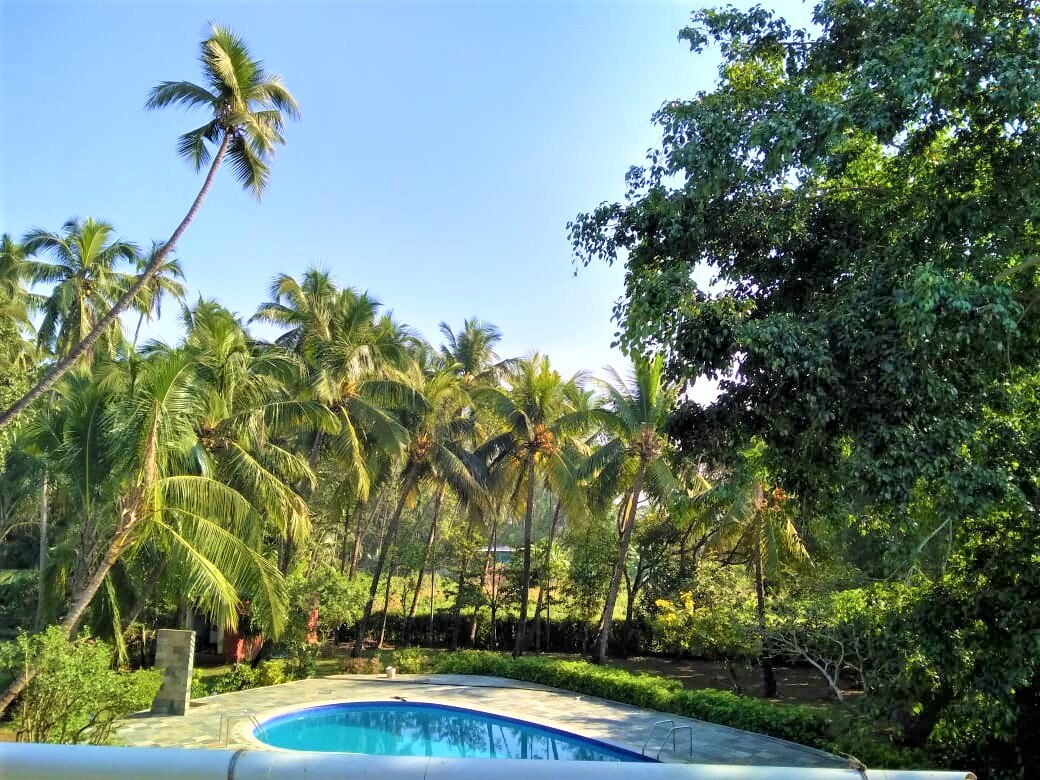 Mauli Cottage Nagaon - Tap to explore photos