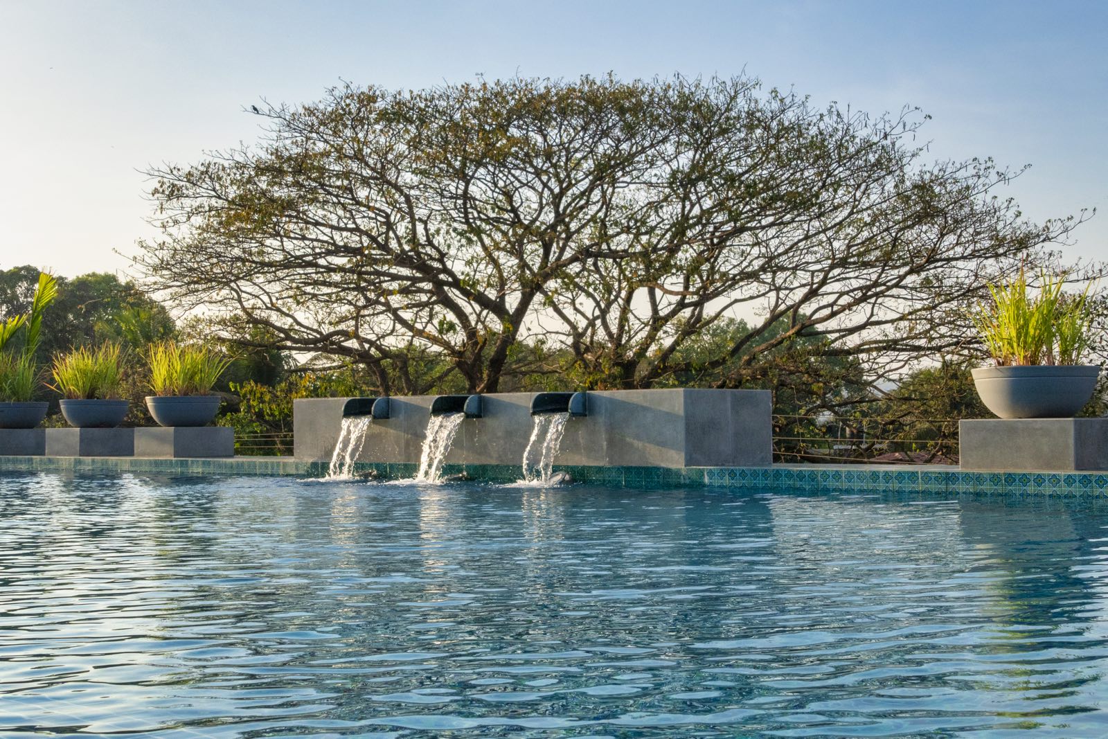 El Arbol - 2 BHK Near Candolim by The Blue Kite (105) - Tap to explore photos