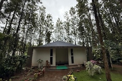 One Piece Homestay, Chikmagalur