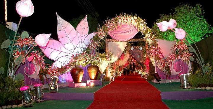 Violinists Lining The Red Carpet Steps Into The Wedding Ball Room Ever Wondered What A 10 Millio Million Dollar Wedding Celebrity Weddings Wedding Looks