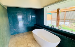 Misty Suite